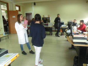 SAM_5370